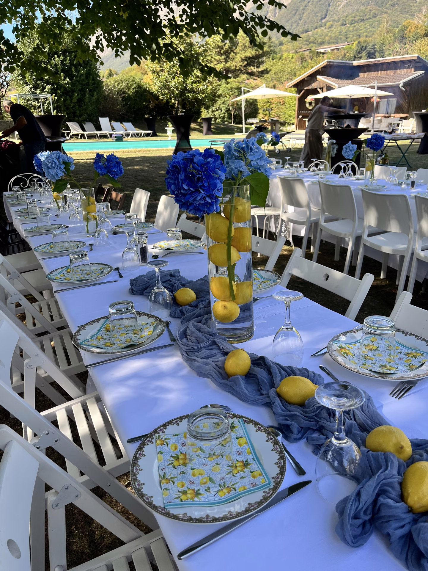 Grande table de réception décorée de fleurs bleues et de citrons dans le jardin